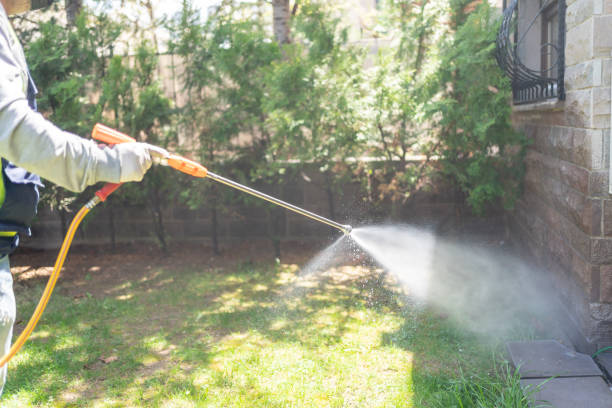 Emergency Pest Control in Clifton, NJ